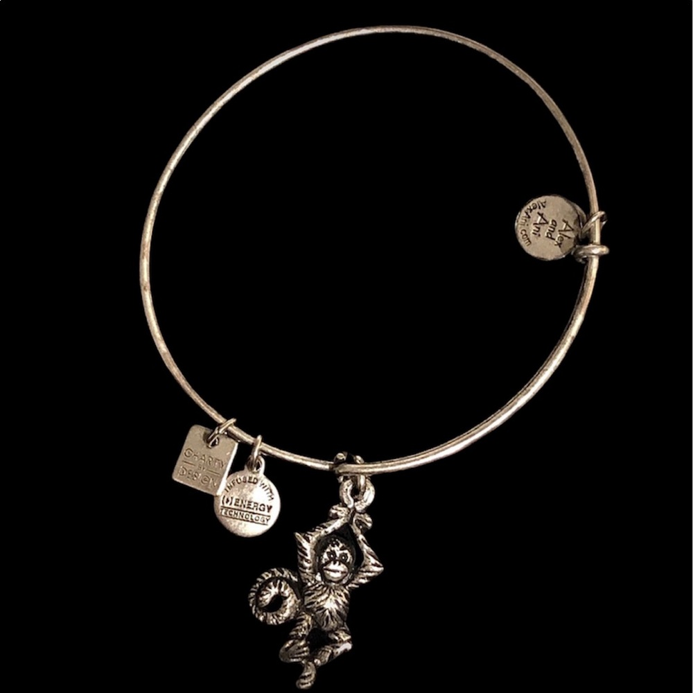 Alex and Ani Monkey Bracelet
